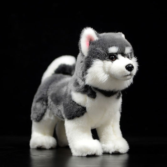 Simulated dog doll gray Alaskan dog doll simulated animal sled dog plush toy model