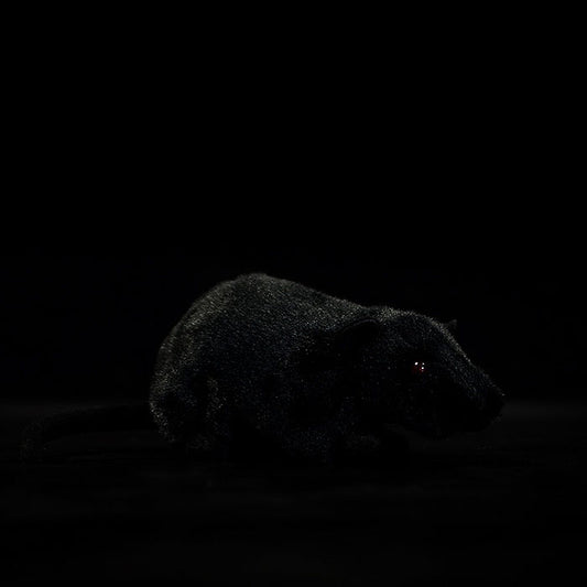Super soft black mouse mouse plush toy mouse doll simulation animal plush toy 17CM