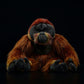Simulated standing orangutan bears plush toy doll lovely doll animal model gift