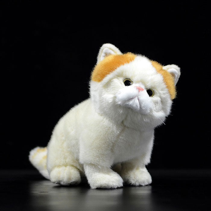 Simulation of exotic short-haired cat plush toy short-haired Persian cat doll Garfield doll simulation animal model