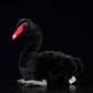 Cute black swan doll simulation black swan simulation animal plush toys gifts