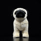 Simulated dog doll lovely Pug doll simulated animal plush toy model gift