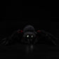 Simulated Mexican bird catching fire spider plush toy spider doll bird catching spider doll simulated animal model gift