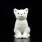 Imitation kitten plush toy doll lovely mandarin duck eye white kitten doll model gift