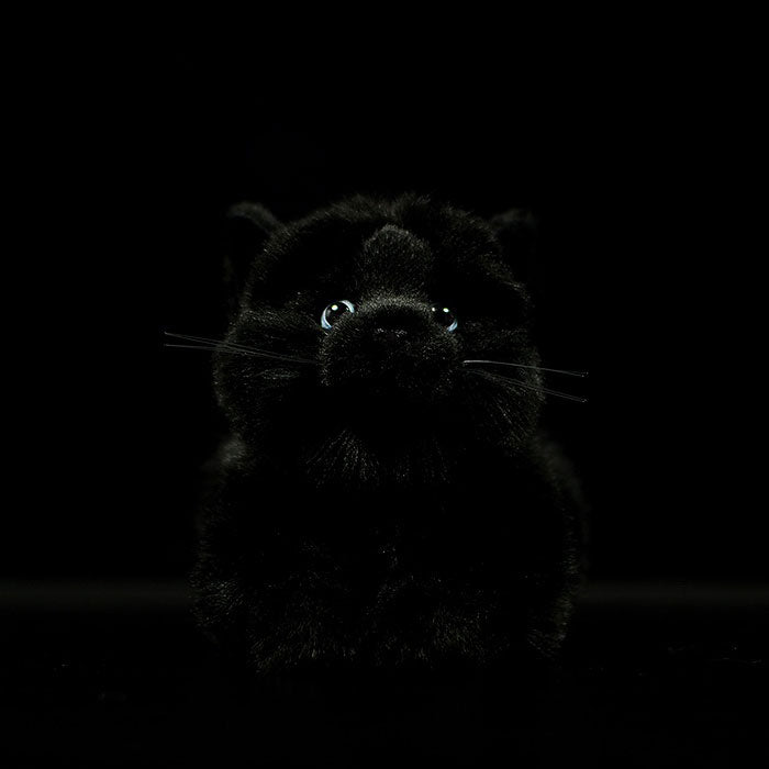 Super pure black cat plush toy doll cute little cat doll simulation cat plush toy