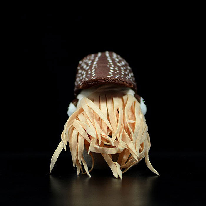 Lovely Nautilus doll simulated pearl Nautilus doll simulated animal plush toy model gift