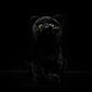 Imitation kitten plush toy doll lovely black cat doll pure black cat model gift