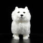 Simulation dog doll cute Samoyed doll simulation animal Samoyed dog plush toy model