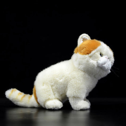 Simulation of exotic short-haired cat plush toy short-haired Persian cat doll Garfield doll simulation animal model