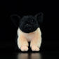 Super cute black pig cute little pig doll simulation pig simulation animal plush toy 20CM
