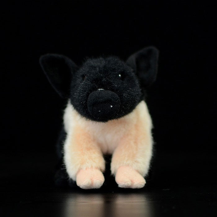 Super cute black pig cute little pig doll simulation pig simulation animal plush toy 20CM