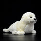 Cute Greenland white seal doll simulation white seal plush model simulation marine animal plush toy