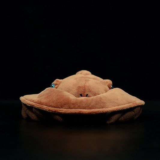 Lovely Chinese Horseshoe Crab doll simulated horseshoe crab doll simulated marine animal plush toy model gift