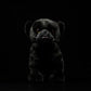 Simulated standing black leopard plush toy black leopard doll lovely leopard doll simulated animal model gift