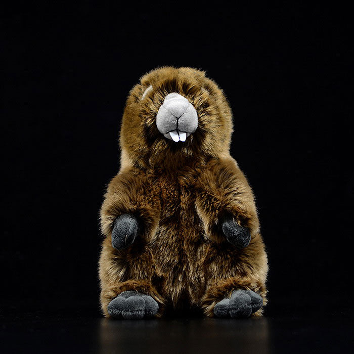 Cute woodchuck doll simulation little marmot doll simulation animal plush model toys gifts