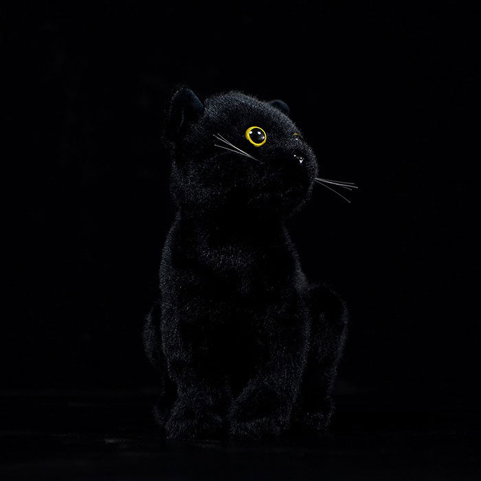 Simulation black cat doll cute short-haired cat doll Chinese garden cat plush toy simulation animal