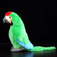 Cute Macaw doll simulation big green macaw Plush Toy Plush simulation animal 28cm