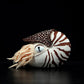 Lovely Nautilus doll simulated pearl Nautilus doll simulated animal plush toy model gift