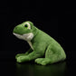 Cute frog plush toy simulated frog doll simulated animal doll birthday Christmas gift