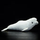 Cute white whale doll simulation white whale doll simulation animal plush toy model gift