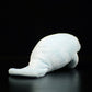 Foreign trade tail order exported to Japan super soft manatee doll simulation manatee simulation animal plush toy