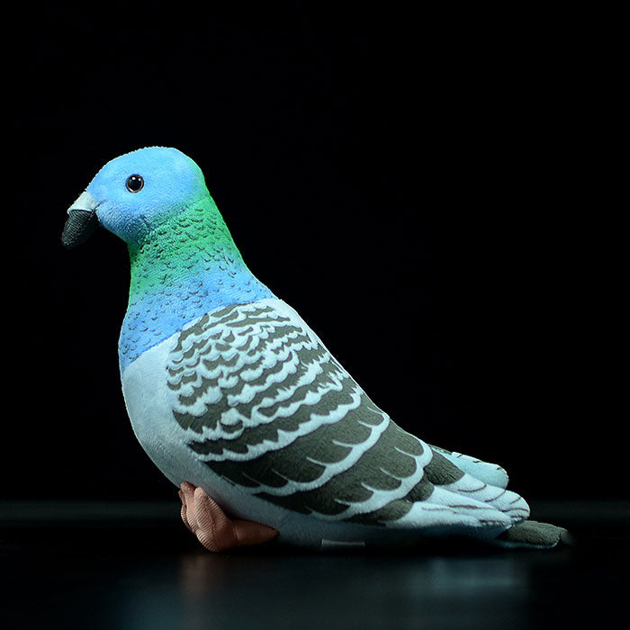 Cute wild pigeon simulation rock pigeon doll super cute pigeon doll small carrier pigeon plush toy gift