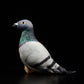 Cute grey pigeon simulation rock pigeon doll super cute pigeon doll small carrier pigeon plush toy gift