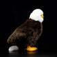 Simulated white headed Sea Eagle doll lovely bald eagle doll simulated animal model plush toy gift