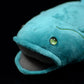 Cute coelacanth doll prehistoric empty spiny fish plush toy spear fish simulation animal plush toy 38CM