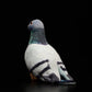 Cute grey pigeon simulation rock pigeon doll super cute pigeon doll small carrier pigeon plush toy gift