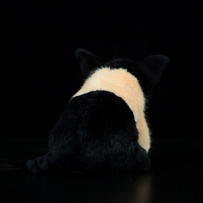 Super cute black pig cute little pig doll simulation pig simulation animal plush toy 20CM