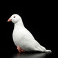 Cute white pigeon simulation rock pigeon doll super cute pigeon doll small carrier pigeon plush toy gift