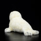 Cute Greenland white seal doll simulation white seal plush model simulation marine animal plush toy