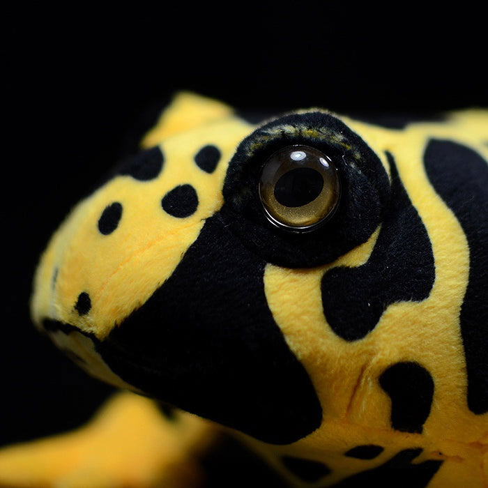 Cute yellow belt poison arrow frog doll simulation poison arrow Frog Plush Toy simulation animal model