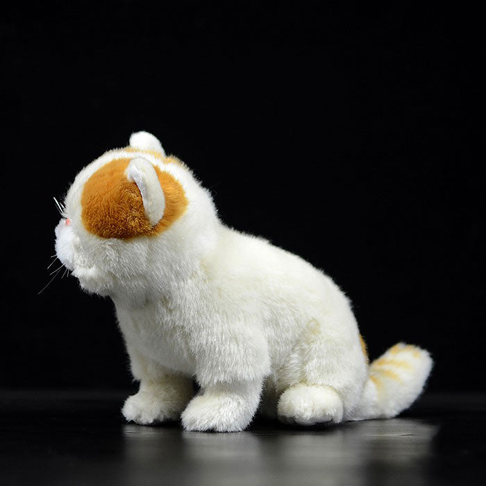 Simulation of exotic short-haired cat plush toy short-haired Persian cat doll Garfield doll simulation animal model