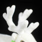 SKIDPUMP Christmas White reindeer doll simulated white Reindeer Plush Toy simulated wild animal plush toy 24CM