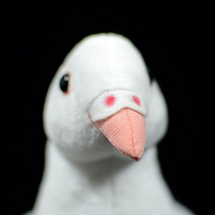 Cute white pigeon simulation rock pigeon doll super cute pigeon doll small carrier pigeon plush toy gift