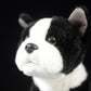 Tail list export New Zealand small black bulldog simulation dog simulation animal plush toys