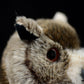 Simulated Tibetan carved owl doll cute owl doll simulated animal model plush toy gift