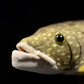 Cute pike doll simulated white spotted pike doll simulated animal plush toy model gift
