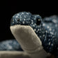 Super soft leatherback turtle plush toy simulation seven leatherback turtle doll lovely swallow turtle doll model gift