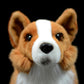 POPOTATO Squatting cocky dog imitation Welsh cocky dog doll super cute dog Doll Plush Toy Gift