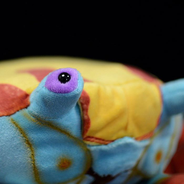 LULEZON American Red Rock Crab doll simulation crab doll simulation animal plush toy model gift