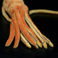 Lovely King squid doll simulation cuttlefish doll simulation animal plush toy model gift