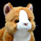 Super cute yellow and white cat plush toy doll cute kitten doll simulation cat plush toy