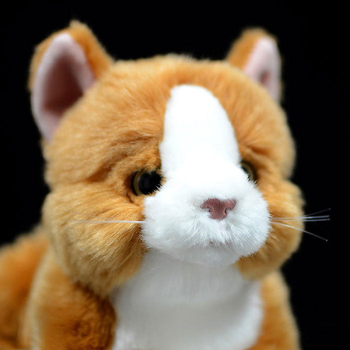 Super cute yellow and white cat plush toy doll cute kitten doll simulation cat plush toy
