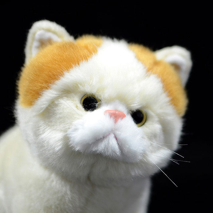Simulation of exotic short-haired cat plush toy short-haired Persian cat doll Garfield doll simulation animal model