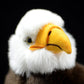 Simulated white headed Sea Eagle doll lovely bald eagle doll simulated animal model plush toy gift