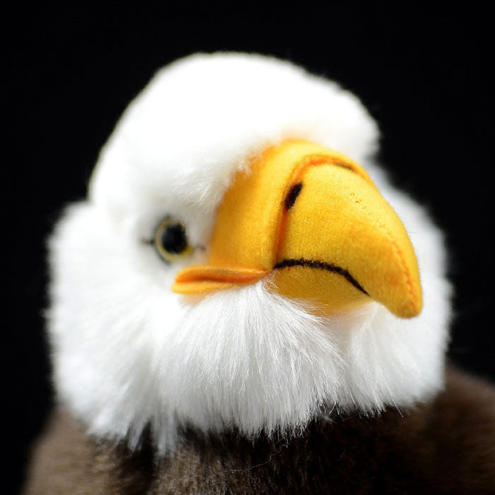 Simulated white headed Sea Eagle doll lovely bald eagle doll simulated animal model plush toy gift