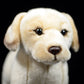 Simulated dog doll lovely Labrador doll simulated animal plush toy model gift